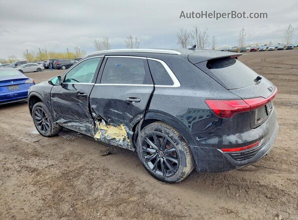 WA14ABGE4RB019884 2024 AUDI Q8 Black Հետևի ձախ