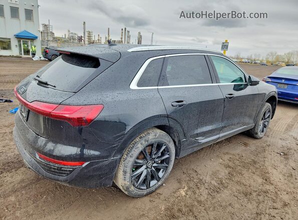 WA14ABGE4RB019884 2024 AUDI Q8 Black Հետևի աջ