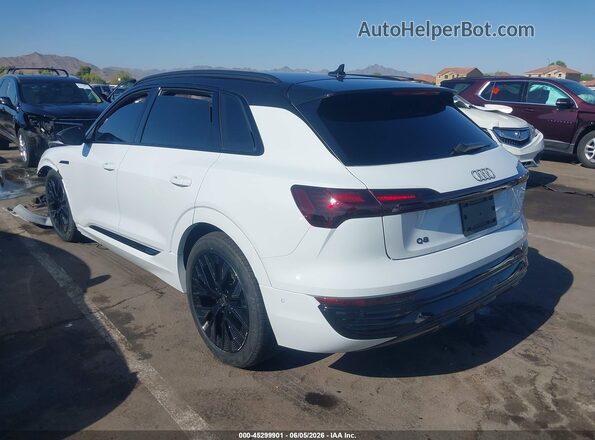 WA15AAGE0RB020190 2024 AUDI Q8 E-TRON Белый Задняя левая четверть