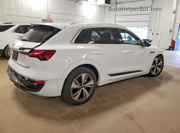 WA15AAGE4RB028759 2024 AUDI Q8 White 
