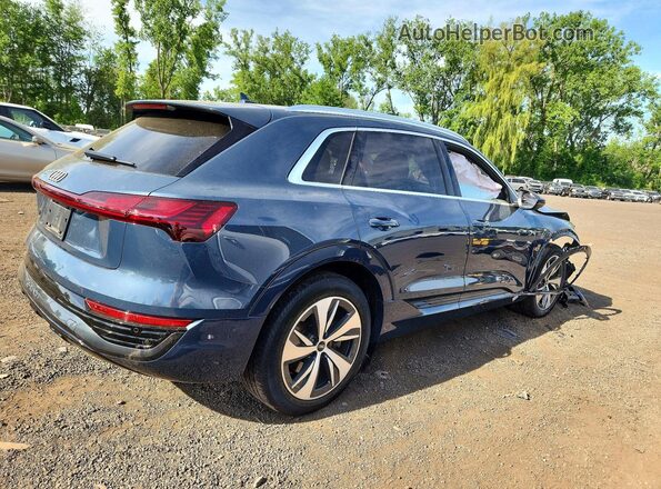 WA15AAGE7RB021708 2024 AUDI Q8 Синий 
