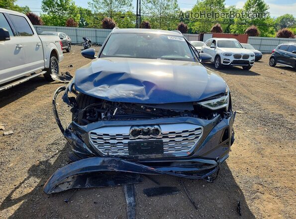 WA15AAGE7RB021708 2024 AUDI Q8 Синий 