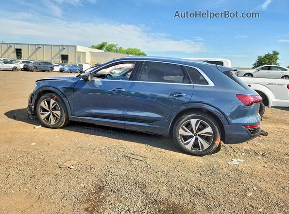 WA15AAGE7RB021708 2024 AUDI Q8 Синий 