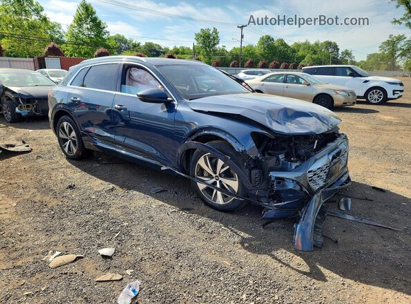 WA15AAGE7RB021708 2024 AUDI Q8 Синий 