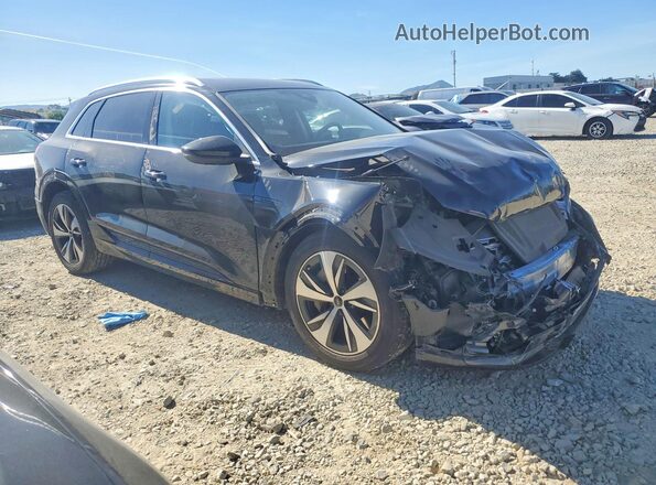 WA15AAGE7RB024639 2024 AUDI Q8 Black Передня права чверть