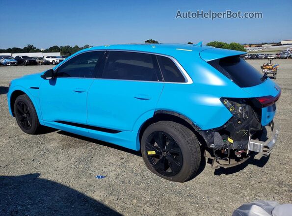 WA15AAGE9RB020348 2024 AUDI Q8 Синий Задняя левая четверть