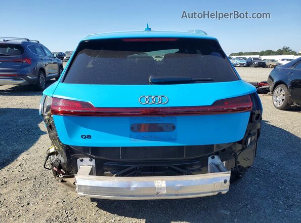 WA15AAGE9RB020348 2024 AUDI Q8 Синий Вид сзади