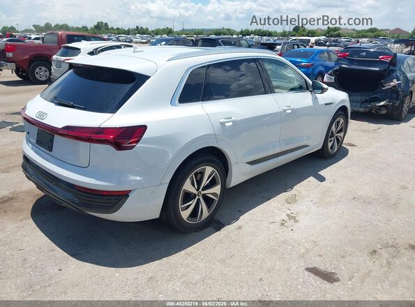 WA15AAGE9RB027669 2024 AUDI Q8 E-TRON White უკანა მარჯვენა