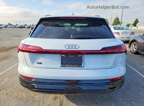 WA15AAGE9RB048361 2024 AUDI Q8 White Vista trasera
