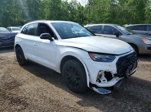 WA1A4AFYXR2114224 2024 AUDI SQ5 White Przód prawy