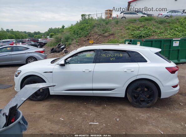 WA1AAAGE1MB003034 2021 AUDI E-TRON White Rear interior view