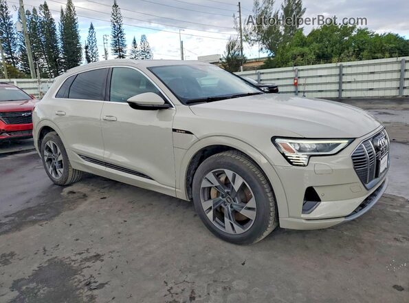 WA1AAAGE5NB005421 2022 AUDI E-TRON Beige 