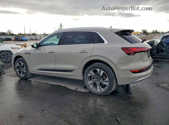 WA1AAAGE5NB005421 2022 AUDI E-TRON Beige 
