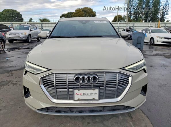 WA1AAAGE5NB005421 2022 AUDI E-TRON Beige 