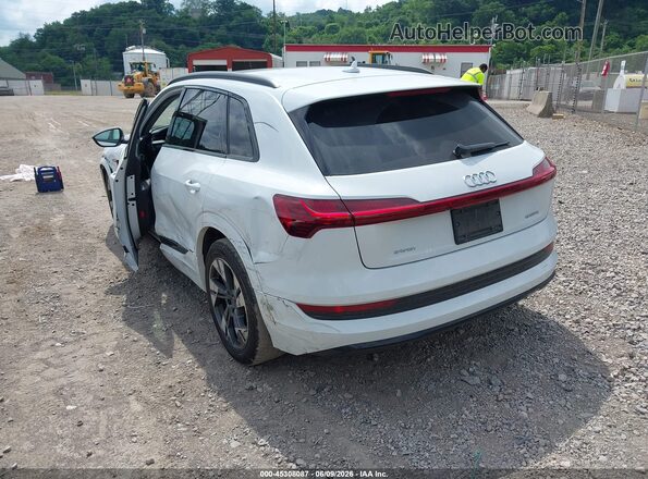 WA1AAAGE7NB005095 2022 AUDI E-TRON White Հետևի ձախ
