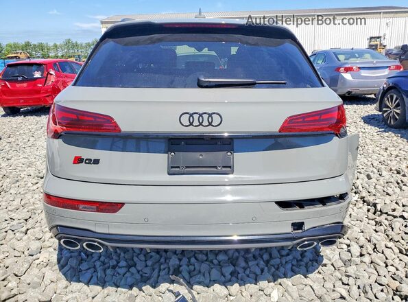 WA1B4AFY6N2025555 2022 AUDI SQ5 Gray Вид ззаду