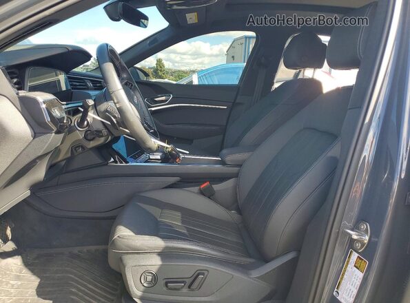 WA1CAAGE6RB035171 2024 AUDI Q8 Gray Սալոնի դիմացի տեսք