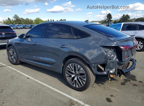 WA1CAAGE6RB035171 2024 AUDI Q8 Gray Հետևի ձախ