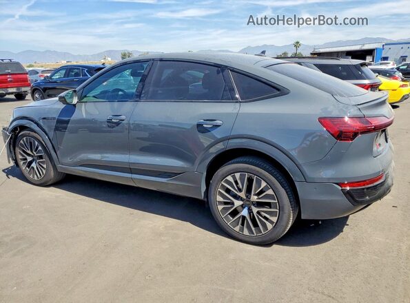 WA1CAAGE7RB036135 2024 AUDI Q8 Gray 