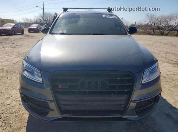 WA1CCAFP5HA039830 2017 AUDI SQ5 Gray Դիմացի տեսք