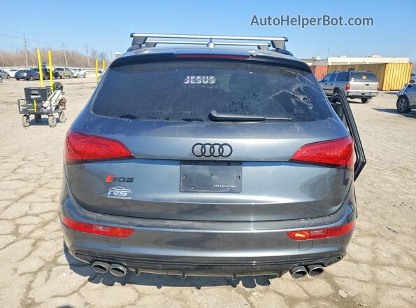 WA1CCAFP5HA039830 2017 AUDI SQ5 Gray Հետևի տեսք