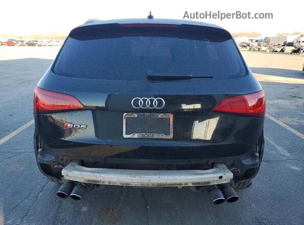 WA1CCAFP8GA041036 2016 AUDI SQ5 Black 