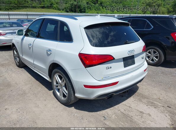 WA1D7AFP1HA017106 2017 AUDI Q5 White Задня ліва чверть