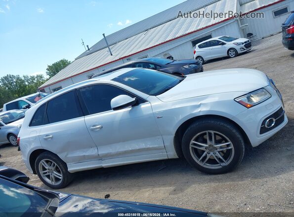 WA1D7AFP1HA017106 2017 AUDI Q5 White Вид задньої частини салону