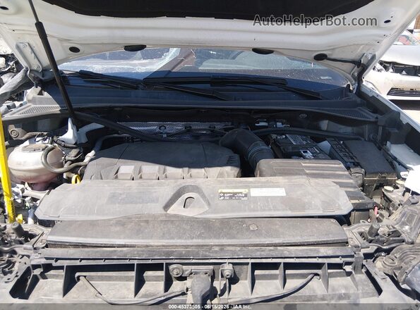 WA1DECF36P1048509 2023 AUDI Q3 White Հետևի տեսք