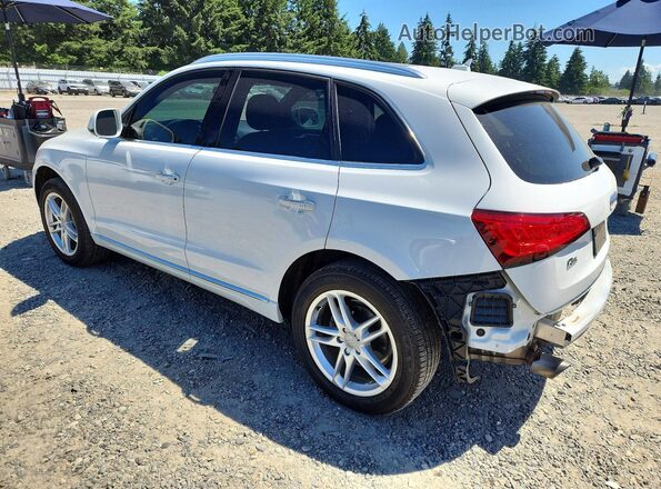 WA1L2AFP1GA129445 2016 AUDI Q5 White 