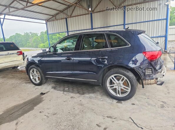 WA1L2AFP9HA033094 2017 AUDI Q5 Blue 