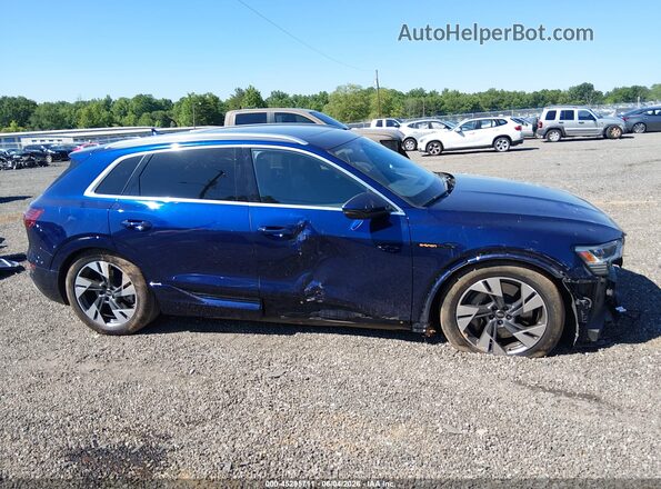 WA1LAAGE1PB014550 2023 AUDI E-TRON Blue Սալոնի 360 աստիճան տեսք