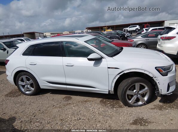 WA1LAAGE8KB024050 2019 AUDI E-TRON Белый Вид задней части салона