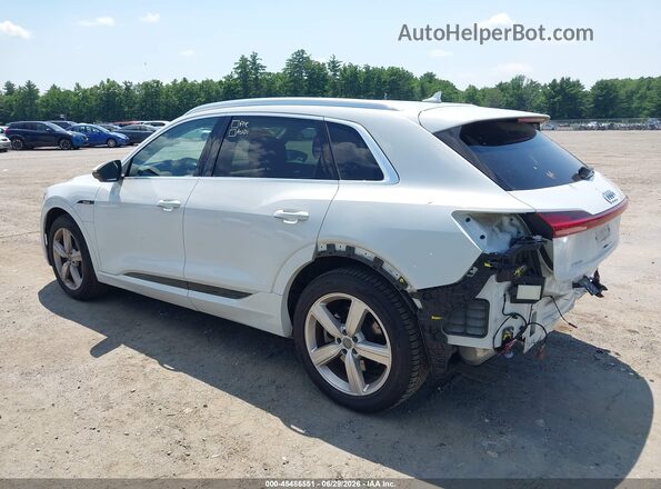 WA1LAAGEXKB022848 2019 AUDI E-TRON White Rear left