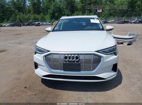 WA1LAAGEXKB022848 2019 AUDI E-TRON White Rear interior view