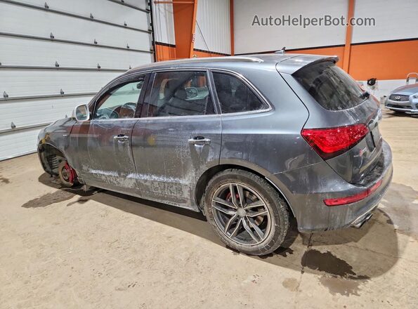 WA1LCAFP0GA047171 2016 AUDI SQ5 Gray Rear left