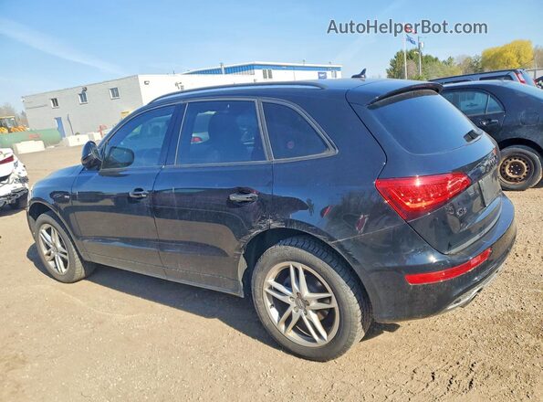 WA1M2AFPXGA096840 2016 AUDI Q5 Black 