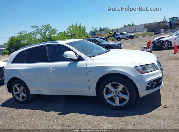 WA1M2AFPXHA087279 2017 AUDI Q5 White უკანა სალონის ხედი