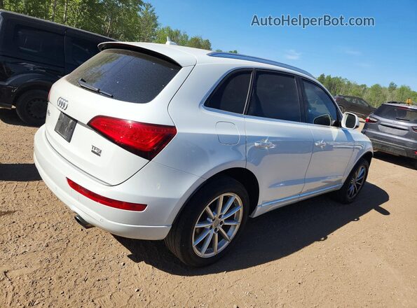 WA1V2AFP1HA101008 2017 AUDI Q5 White Հետևի աջ