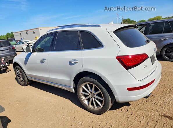 WA1V2AFP1HA101008 2017 AUDI Q5 White Հետևի ձախ