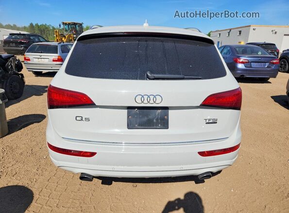 WA1V2AFP1HA101008 2017 AUDI Q5 White Հետևի տեսք