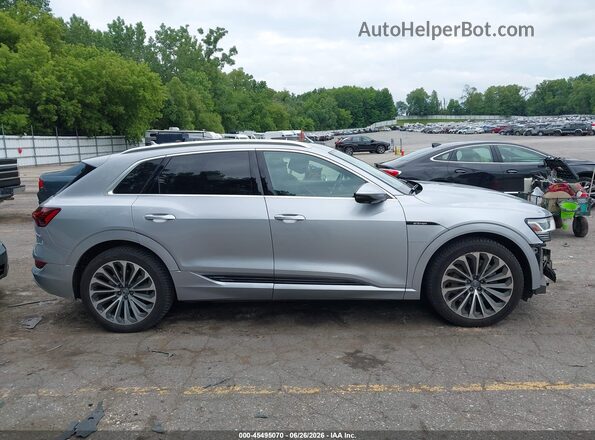 WA1VAAGE6KB024895 2019 AUDI E-TRON Silver Вид задньої частини салону