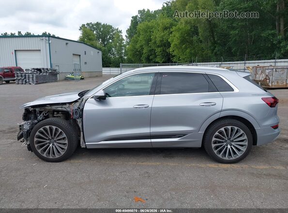 WA1VAAGE6KB024895 2019 AUDI E-TRON Silver Панорамний вид салону 360°