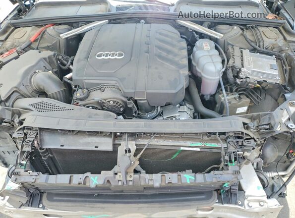 WAUABAF40MA055835 2021 AUDI A4 Gray Սալոնի հետևի տեսք
