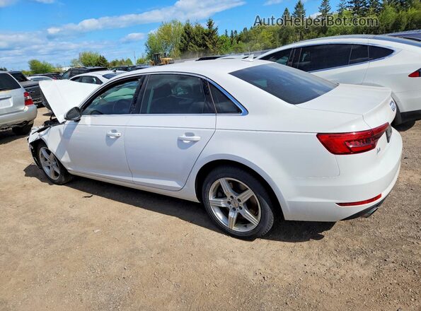WAUANAF44HN006966 2017 AUDI A4 White Հետևի ձախ