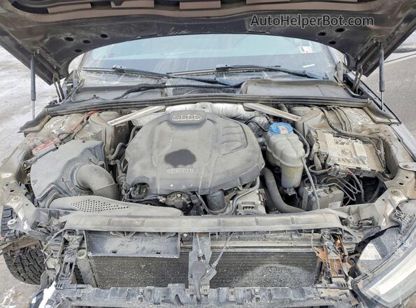 WAUANAF4XHN010763 2017 AUDI OTHER Gray 