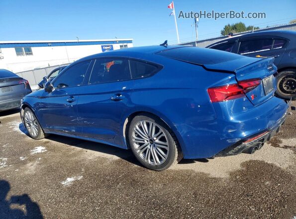 WAUB4CF54SA012485 2025 AUDI S5 Blue Задня ліва чверть