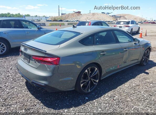 WAUC4CF50RA023210 2024 AUDI S5 Black Tył prawy