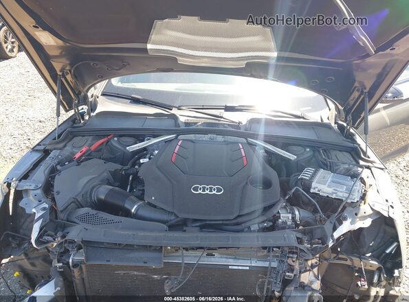 WAUC4CF50RA023210 2024 AUDI S5 Black Widok z tyłu