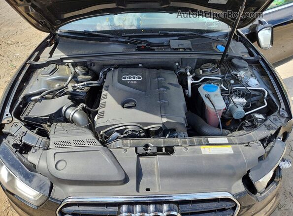 WAUD2AFH3GN005654 2016 AUDI A5 Black Սալոնի հետևի տեսք